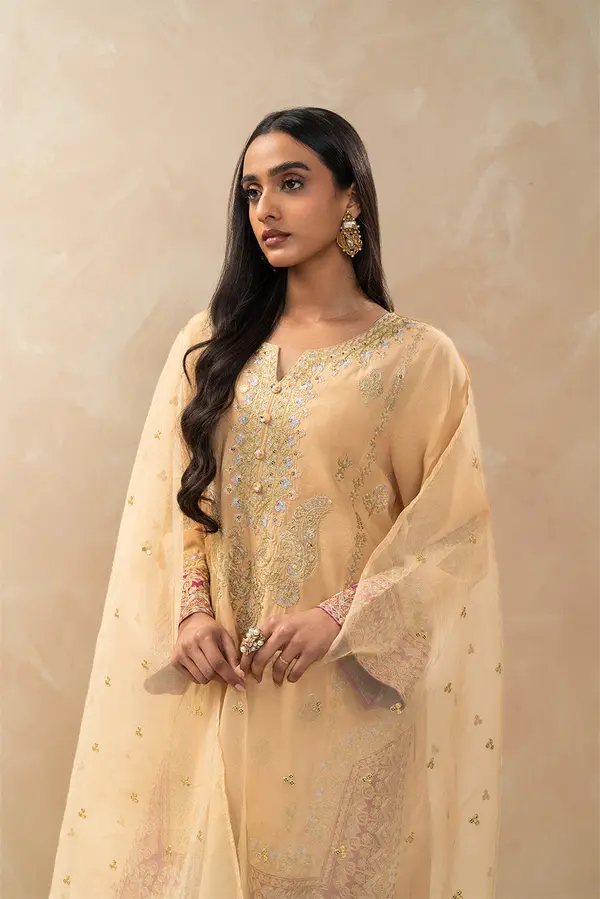 2 PIECE EMBROIDERED RAW SILK SUIT (LUXURY-PRET)