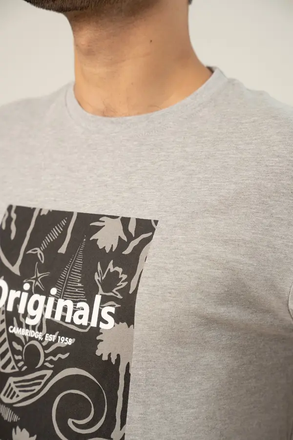 GRAPHIC T-SHIRT - ASH GREY(E-FACTORY OUTLET)