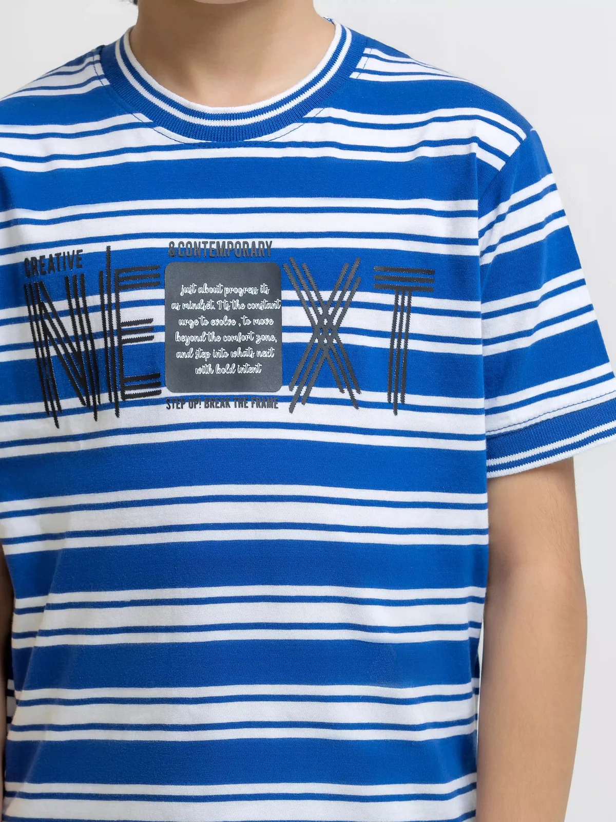 Boy's Blue & White T-Shirt - EBTTS5-040 - view 3