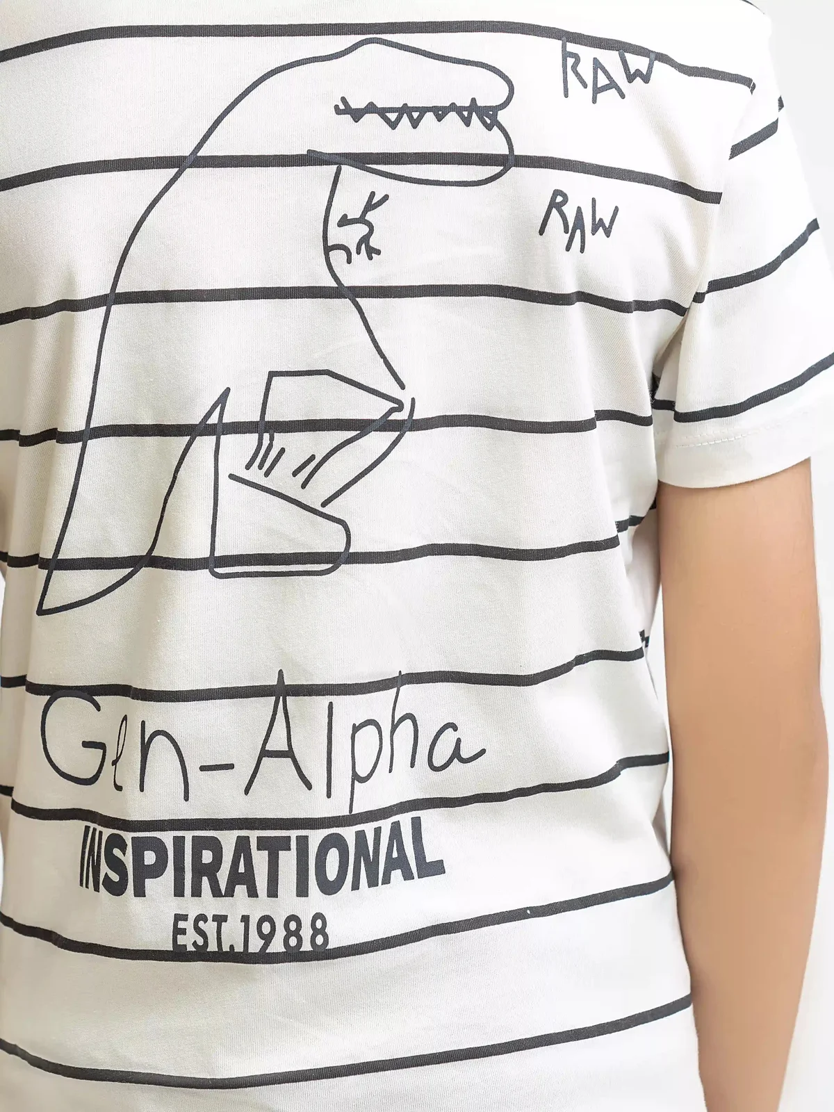 Boy's Cream T-Shirt - EBTTS6-035 - view 4