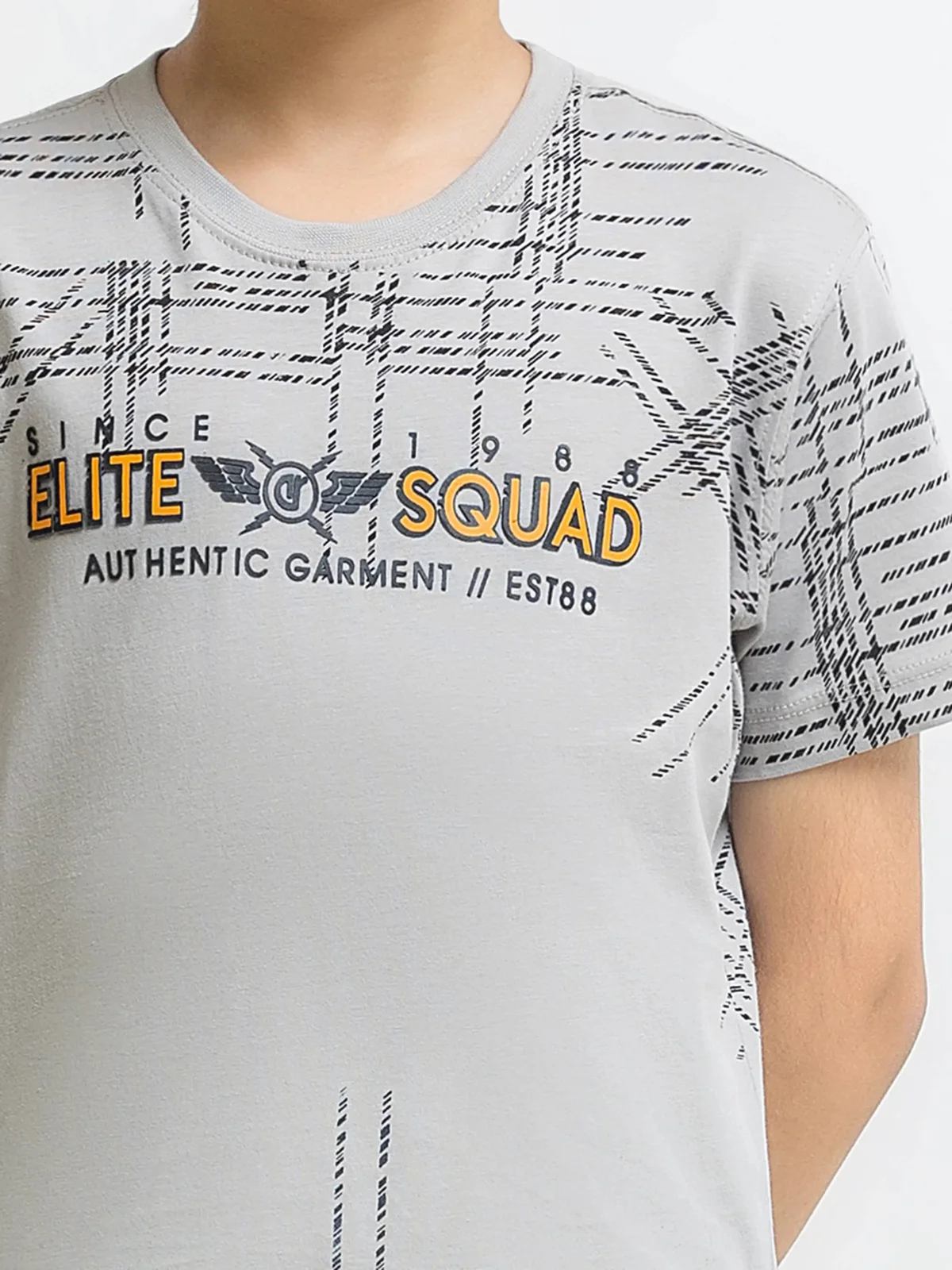 Boy's Grey T-Shirt - EBTTS5-033 - view 3