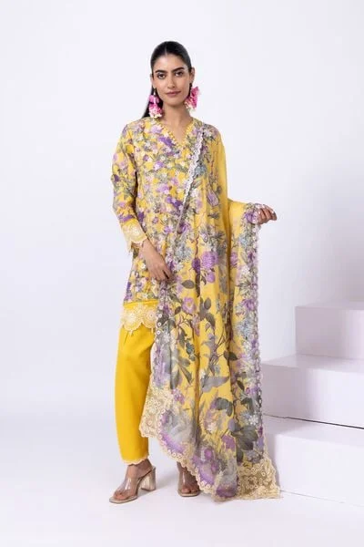 Embroidered Thai Silk Shalwar - ESB24641B-VG_MULTI