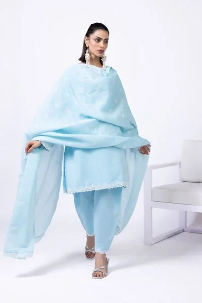 Embroidered Cotton Reflex Shalwar - EIB245327-VG_MULTI