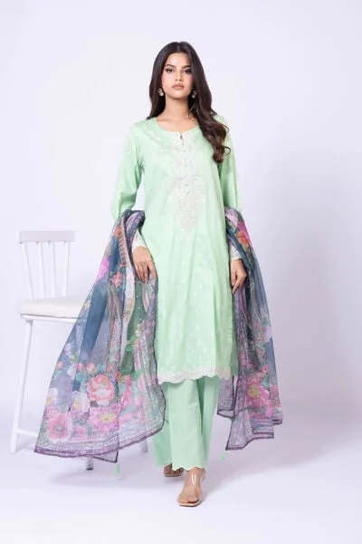 Dyed Cambric Shalwar - SDJN05BB-VG_MULTI