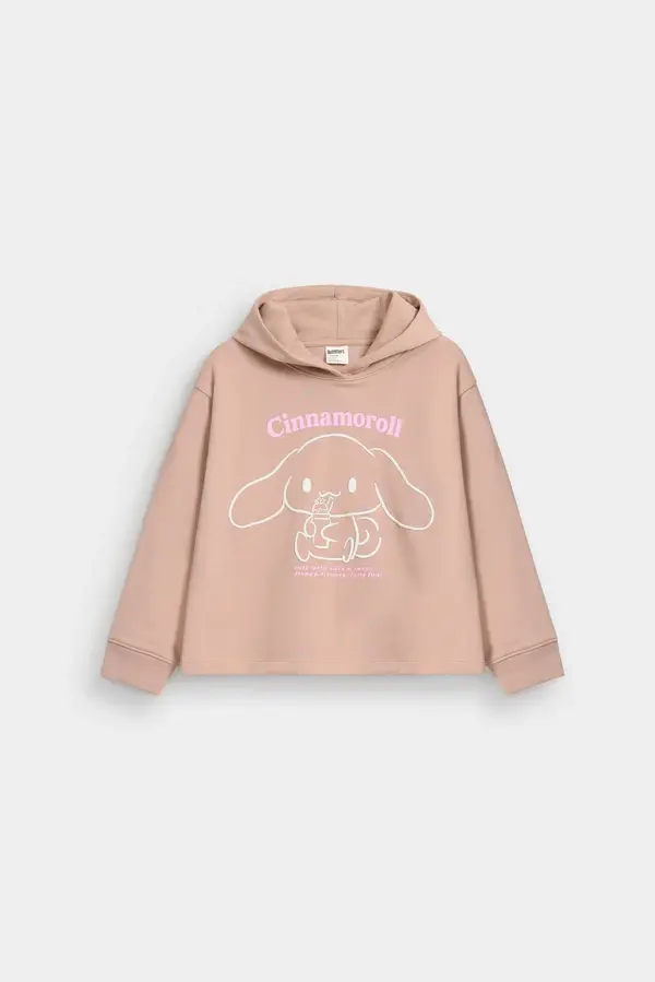 Cropped Graphic Pull-Over