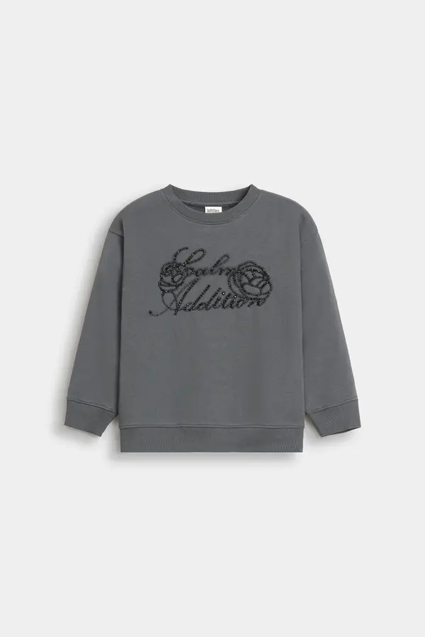Sweatshirt With Tulle Applique Detail