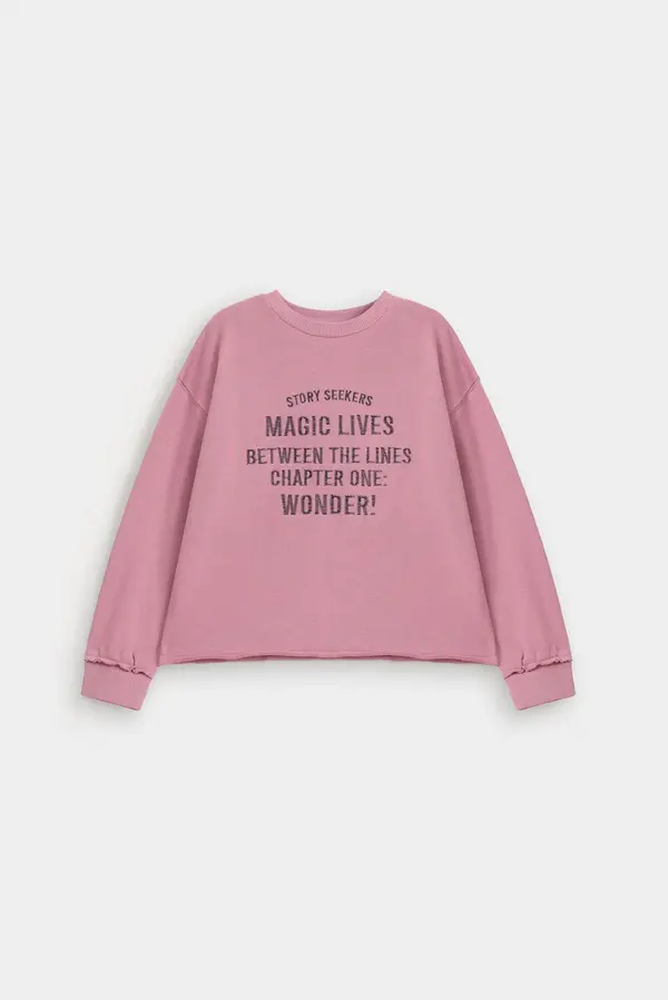 Embroidered Slogan Sweatshirt