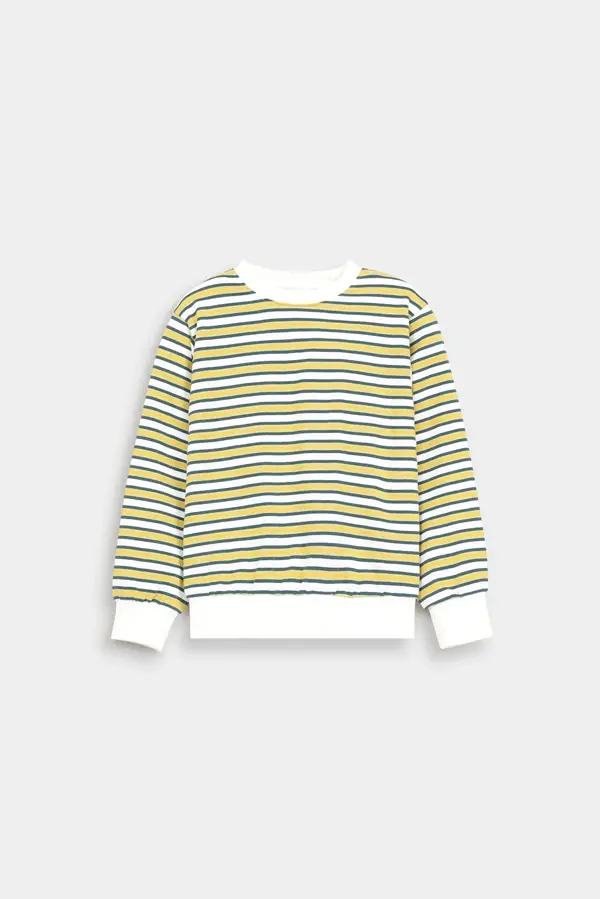 Striped Sweatshirt