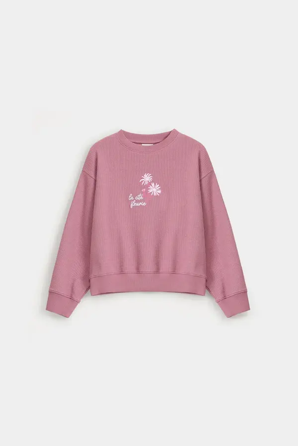 Cropped Embroidered Ribbed Sweatshirt