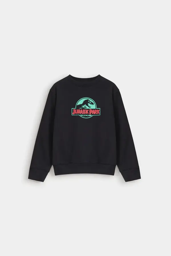 Graphic Sweatshirt