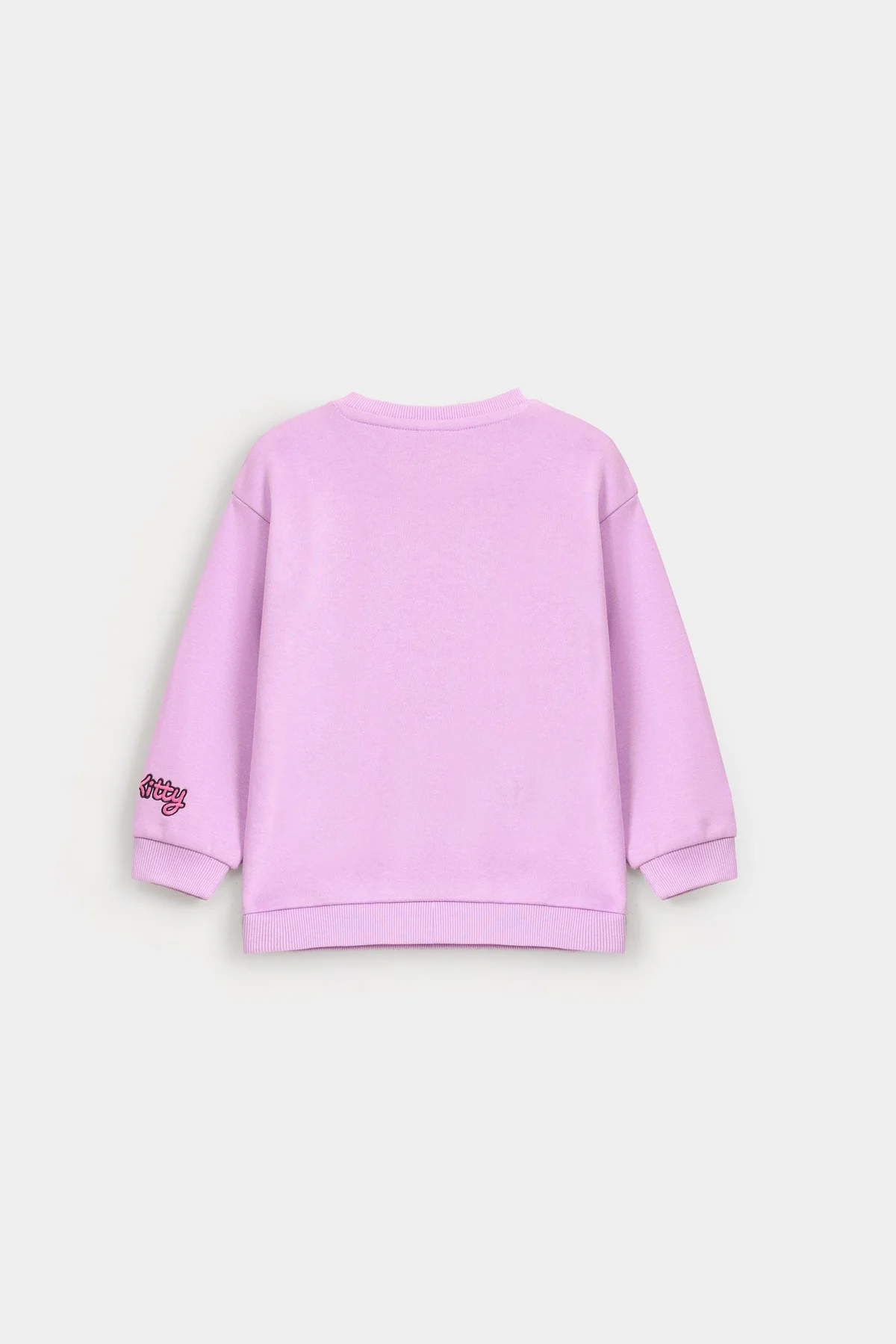 Embroidered Sweatshirt - view 3