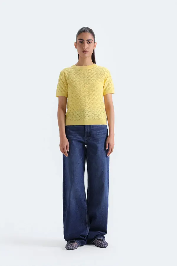 Pointelle Knit Sweater