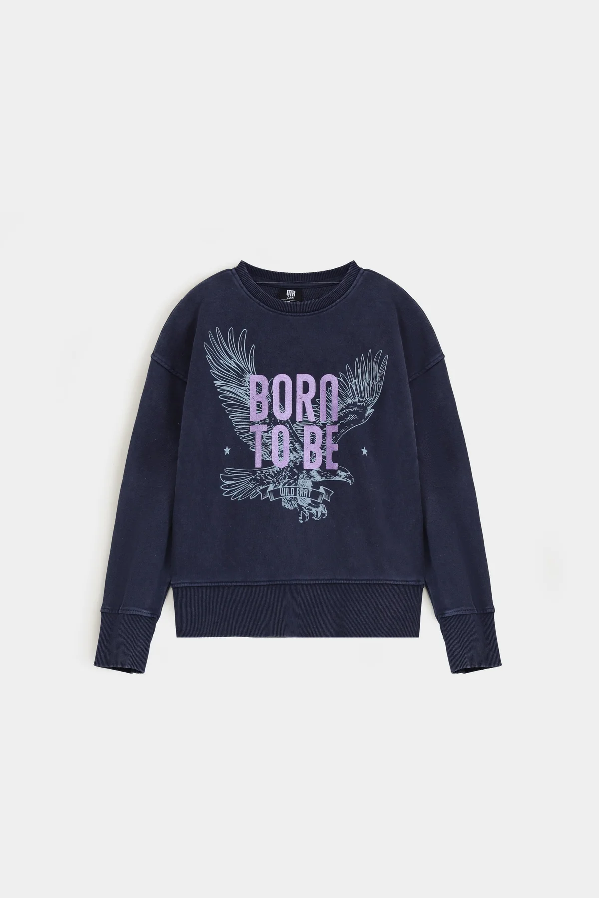 Wash Out Graphic Sweatshirt