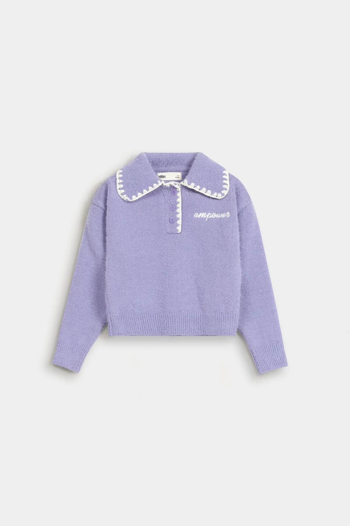 Embroidered Polo Sweater