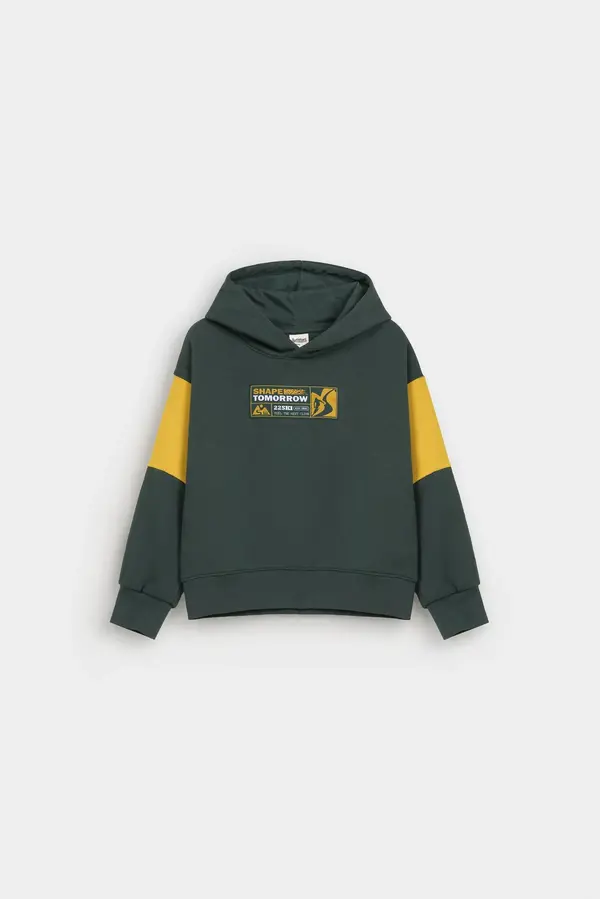 Color Block Hoodie With Label Patch