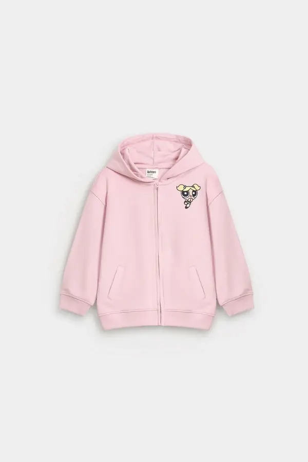 Embroidered Zipper Hoodie