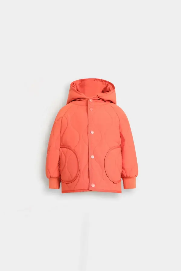 Quilted Puffer Jacket With Hood