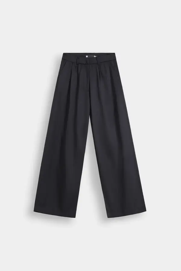 Wide Leg Pleated Trousers